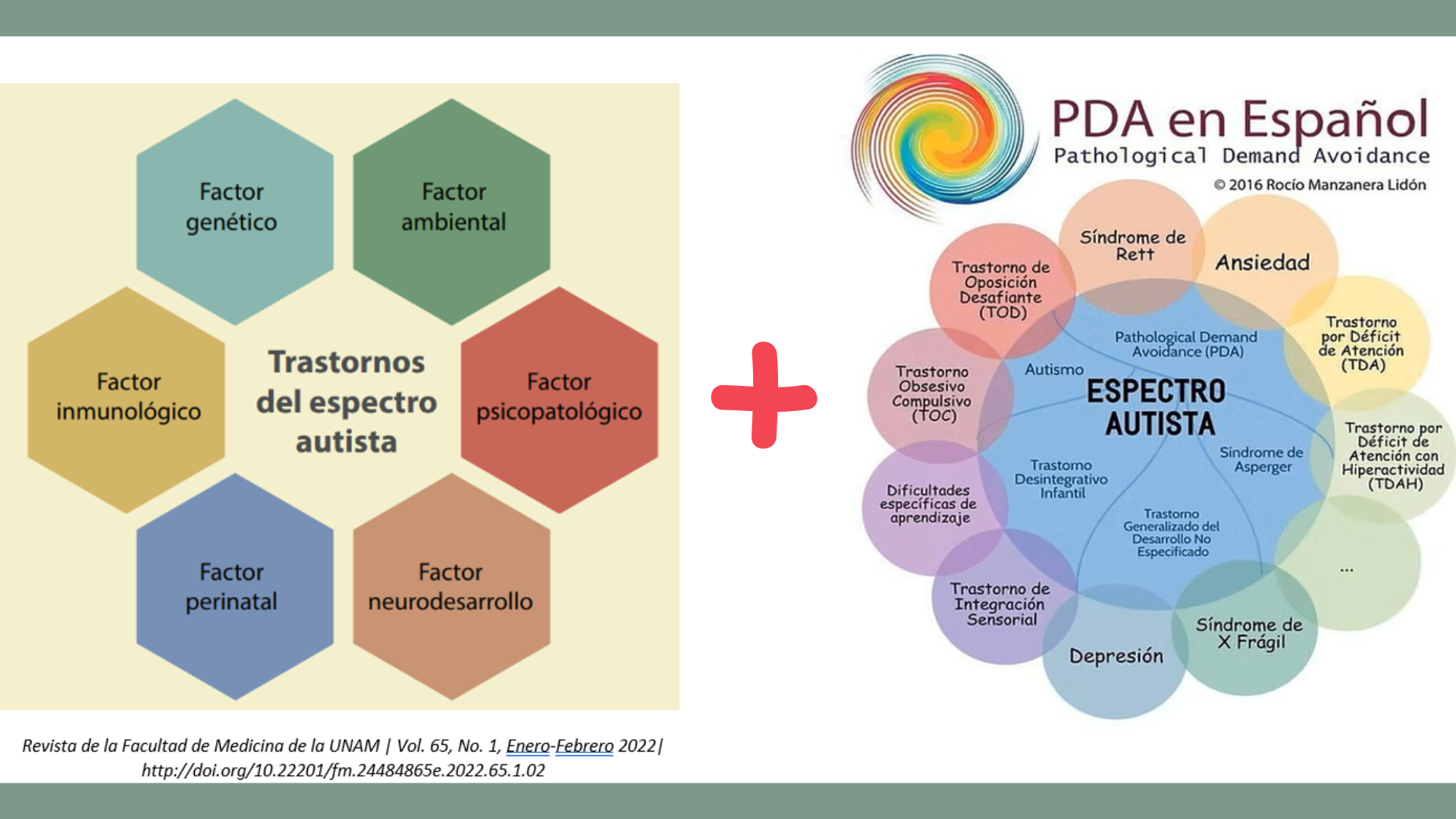 Imagen explicativa de causas del autismo